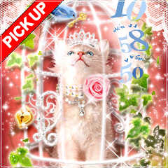 cherubic innocence Kittens