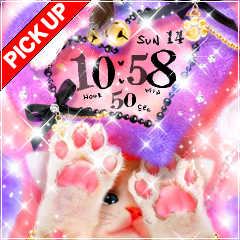 setaria loving cat