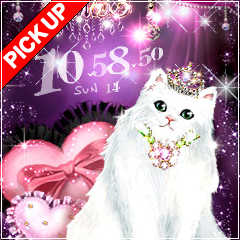 little princess cat