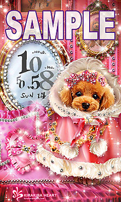 Princess toy Poodle