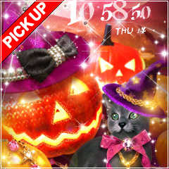 wicked eye cat