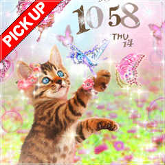 adorable cat fields